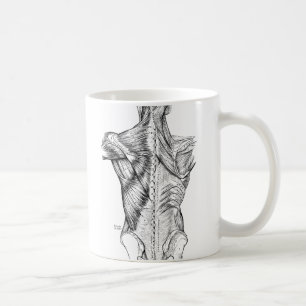 Schwarz-Weiß-Anatomie-Kunst Rückenmuskeln (1890) Tasse