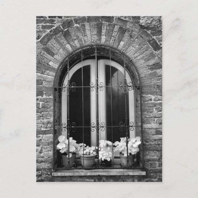 Schwarz-Weiß-Ansicht von Fenster- und Blume-Töpfen Postkarte (Vorderseite)