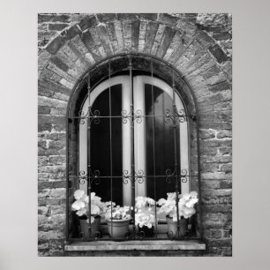 Schwarz-Weiß-Ansicht von Fenster und Blumenkübel Poster