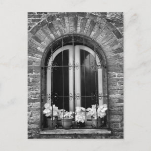 Schwarz-Weiß-Ansicht von Fenster und Blumenkübel Postkarte