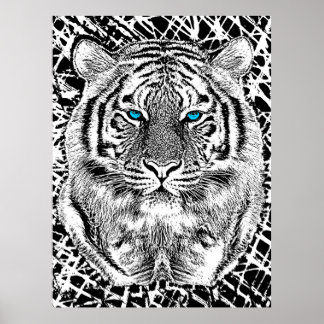 Schwarz-Weiß-Augen-Tiger-Design Poster