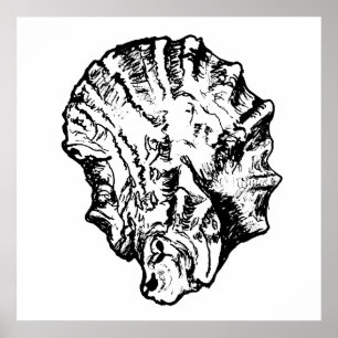 Schwarz-Weiß-Austernposter Poster