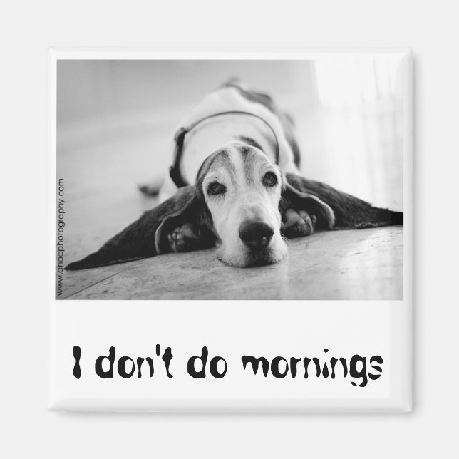 Schwarz-Weiß-Basset-Hound-Magnet Magnet (Vorne)