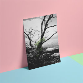 Schwarz-Weiß-Baum mit grünen Reben Fotodruck