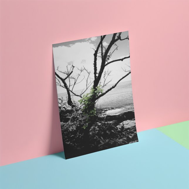 Schwarz-Weiß-Baum mit grünen Reben Fotodruck (Von Creator hochgeladen)