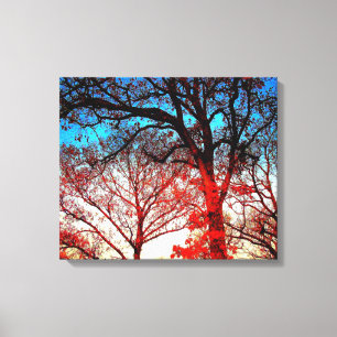 Schwarz-Weiß-Bäume im Winter Foto Leinwanddruck