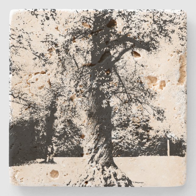 Schwarz-Weiß-Baumlandschaft Steinuntersetzer (Vorderseite)