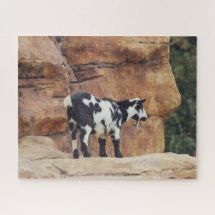 Schwarz-Weiß-Bergziege auf Felsen Puzzle