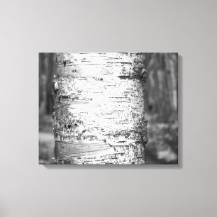 Schwarz & Weiß Birch Tree Trunk Birch Bark 16x20 Leinwanddruck