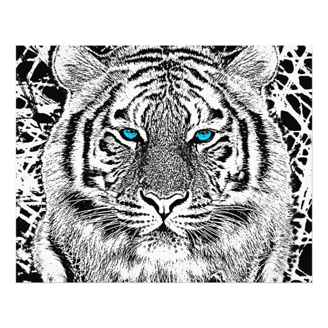 Schwarz-Weiß-blaue Augen Tiger Graphic Fotodruck (Vorne)