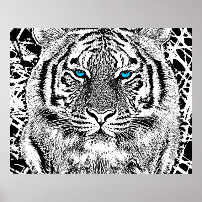 Schwarz-Weiß-blaue Augen Tiger Graphic Poster (Vorne)
