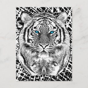 Schwarz-Weiß-blaue Augen Tiger Graphic Postkarte