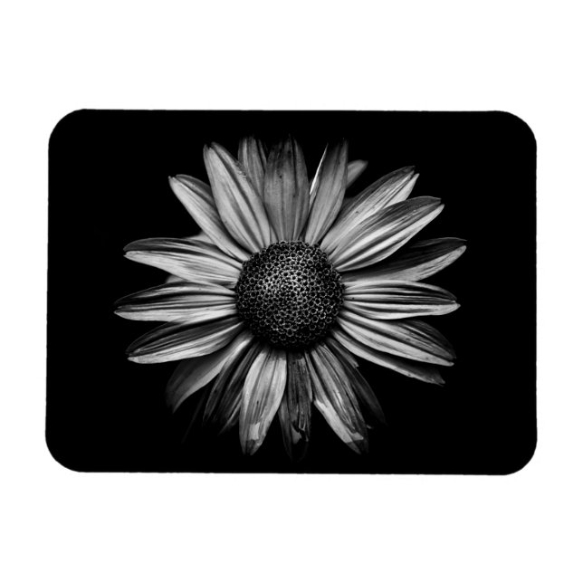 Schwarz-Weiß-Blume 18 Magnet (Horizontal)