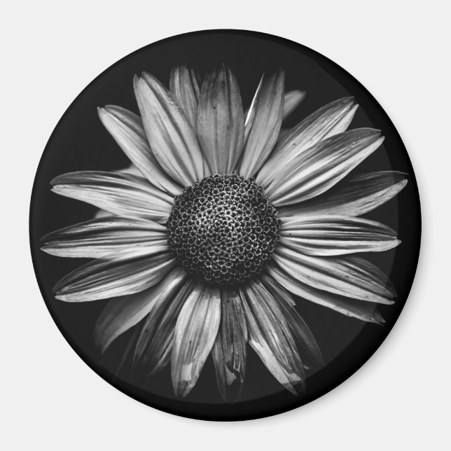 Schwarz-Weiß-Blume 18 Magnet (Vorne)