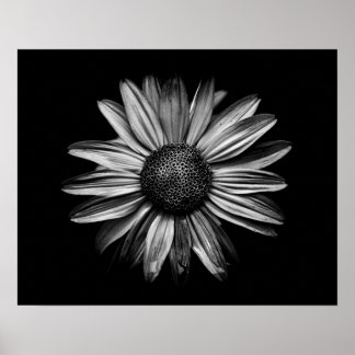Schwarz-Weiß-Blume 18 Poster