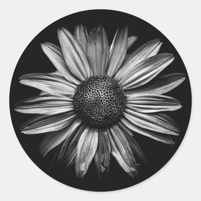 Schwarz-Weiß-Blume 18 Runder Aufkleber (Vorderseite)