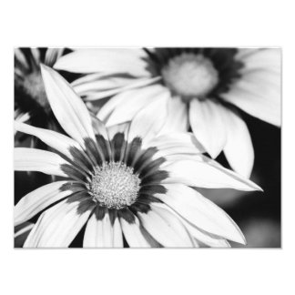 Schwarz-Weiß-Blume Fotodruck