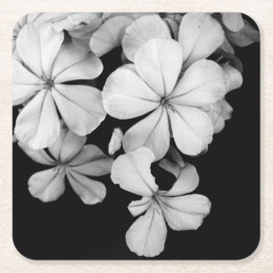 Schwarz-Weiß-Blume nah Rechteckiger Pappuntersetzer
