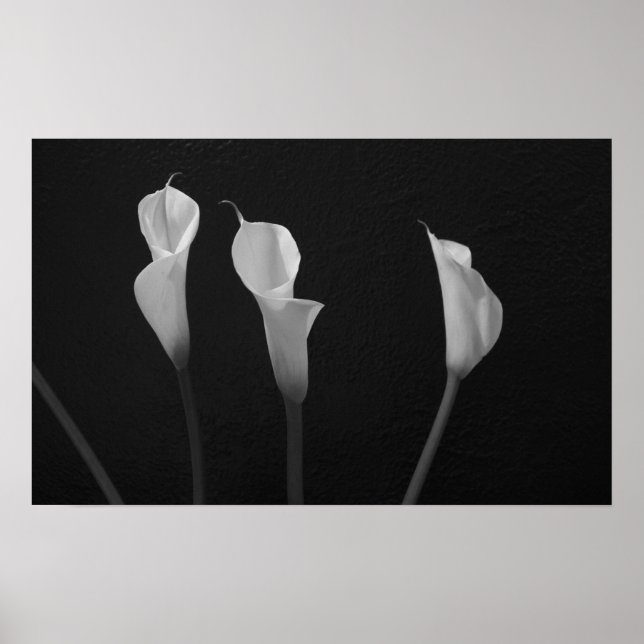 Schwarz-Weiß-Blume-Poster Poster (Vorne)