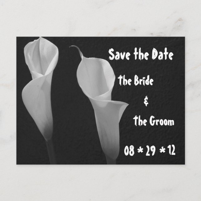 Schwarz-Weiß-Blume Postkarte (Vorderseite)