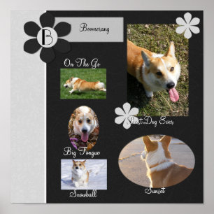 Schwarz-Weiß-Blume-Scrapie-Buchseite Poster