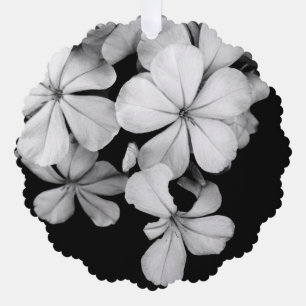 Schwarz-Weiß-Blumenfotografie Ornament Karte