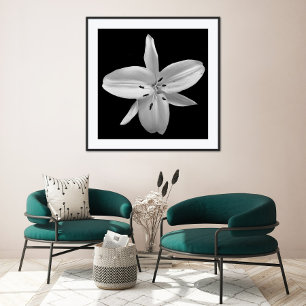 Schwarz-Weiß-Blumenfotografie Poster