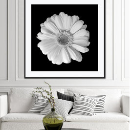 Schwarz-Weiß-Blumenfotografie-Poster Poster