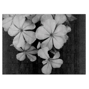 Schwarz-Weiß-Blumenfotografie Schneidebrett