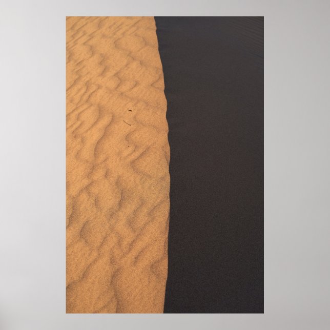 Schwarz-Weiß-Blumentextilien Poster (Vorne)