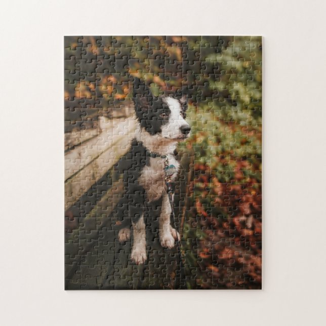 Schwarz-Weiß-Border-Collie auf der Monte Tamaro Puzzle (Vertikal)