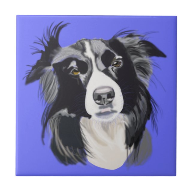 Schwarz-Weiß-Border-Collie Fliese (Vorderseite)