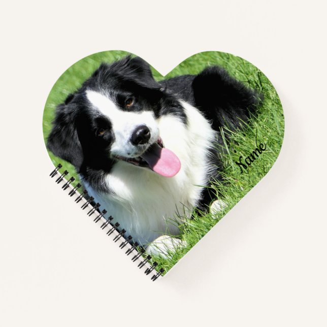 Schwarz-Weiß-Border-Collie Notizbuch (Vorderseite)