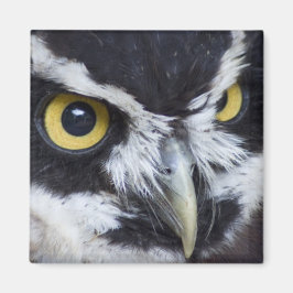 Schwarz-Weiß-Brille Magnet