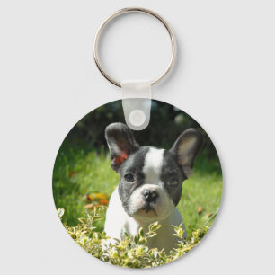 Schwarz-Weiß-Bull-Hunde-Welpe Schlüsselanhänger