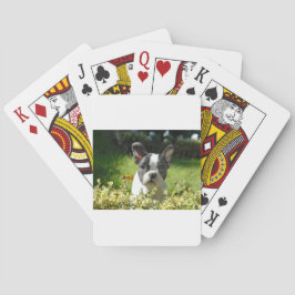 Schwarz-Weiß-Bull-Hunde-Welpe Spielkarten