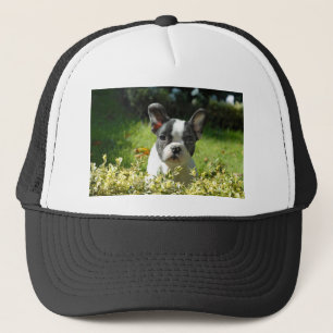 Schwarz-Weiß-Bull-Hunde-Welpe Truckerkappe