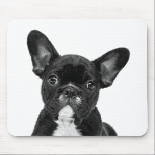 Schwarz-Weiß-Bulldog-Portrait Mousepad
