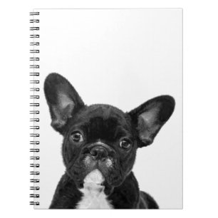 Schwarz-Weiß-Bulldog-Portrait Notizblock