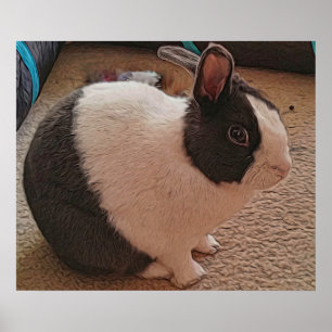 Schwarz-Weiß-Bunny-Poster Poster