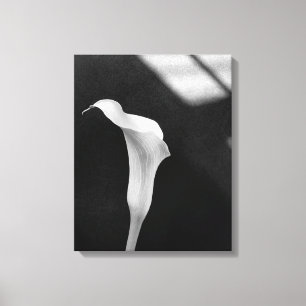Schwarz-Weiß-Calla-Lily Leinwanddruck