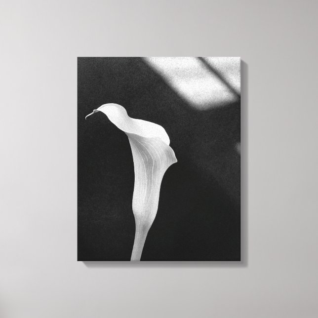 Schwarz-Weiß-Calla-Lily Leinwanddruck (Vorderseite)