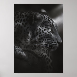 Schwarz-Weiß-Canva Poster