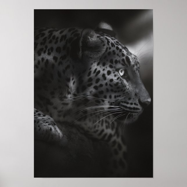 Schwarz-Weiß-Canva Poster (Vorne)