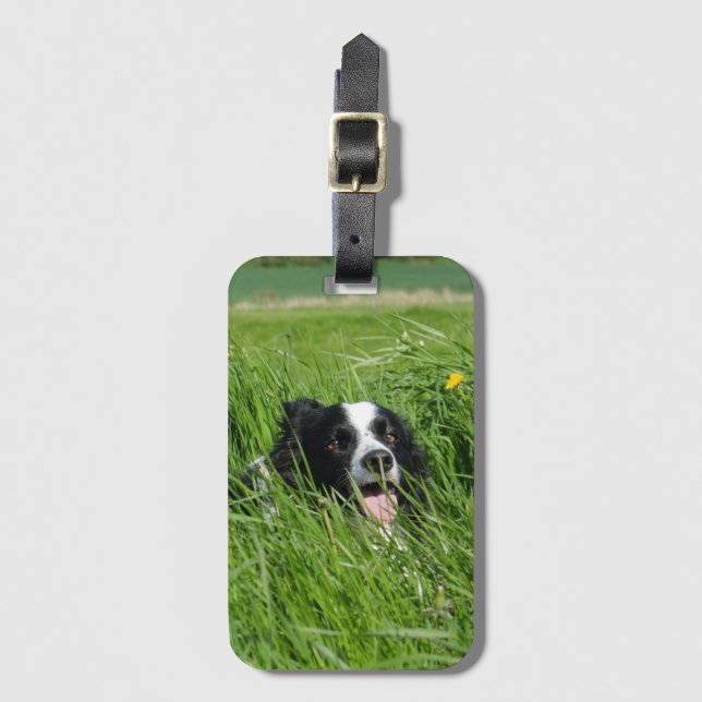 Schwarz-Weiß-Collie im Gras Gepäckanhänger (Vorderseite Vertikal)