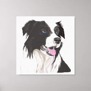 Schwarz-Weiß-Collie mit Blue Eyes Portrait. Leinwanddruck