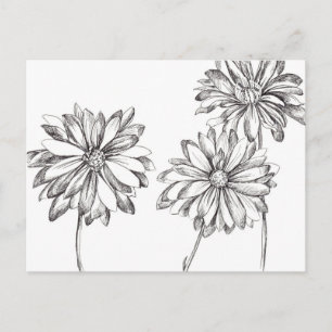 Schwarz-weiß Daisy Blume Bouquet Zeichnend Postkarte