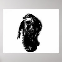 Schwarz-Weiß-Drache