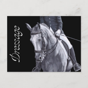Schwarz-Weiß-Duo Dressur-Pferd Postkarte