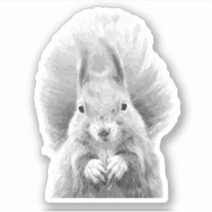 Schwarz-Weiß-Eichhörnchen Aufkleber